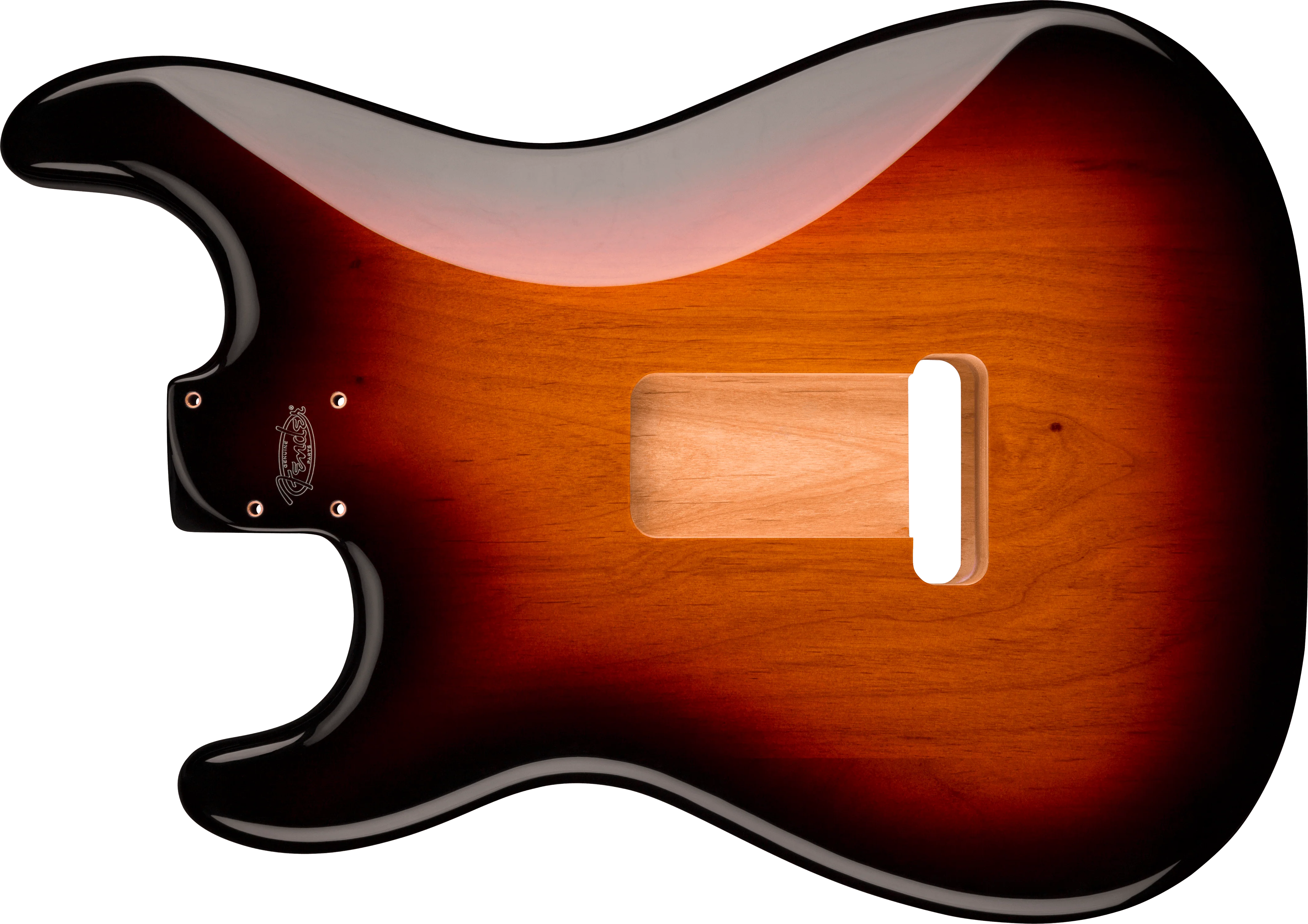 Deluxe Series Stratocaster® Alder Body - Image 4