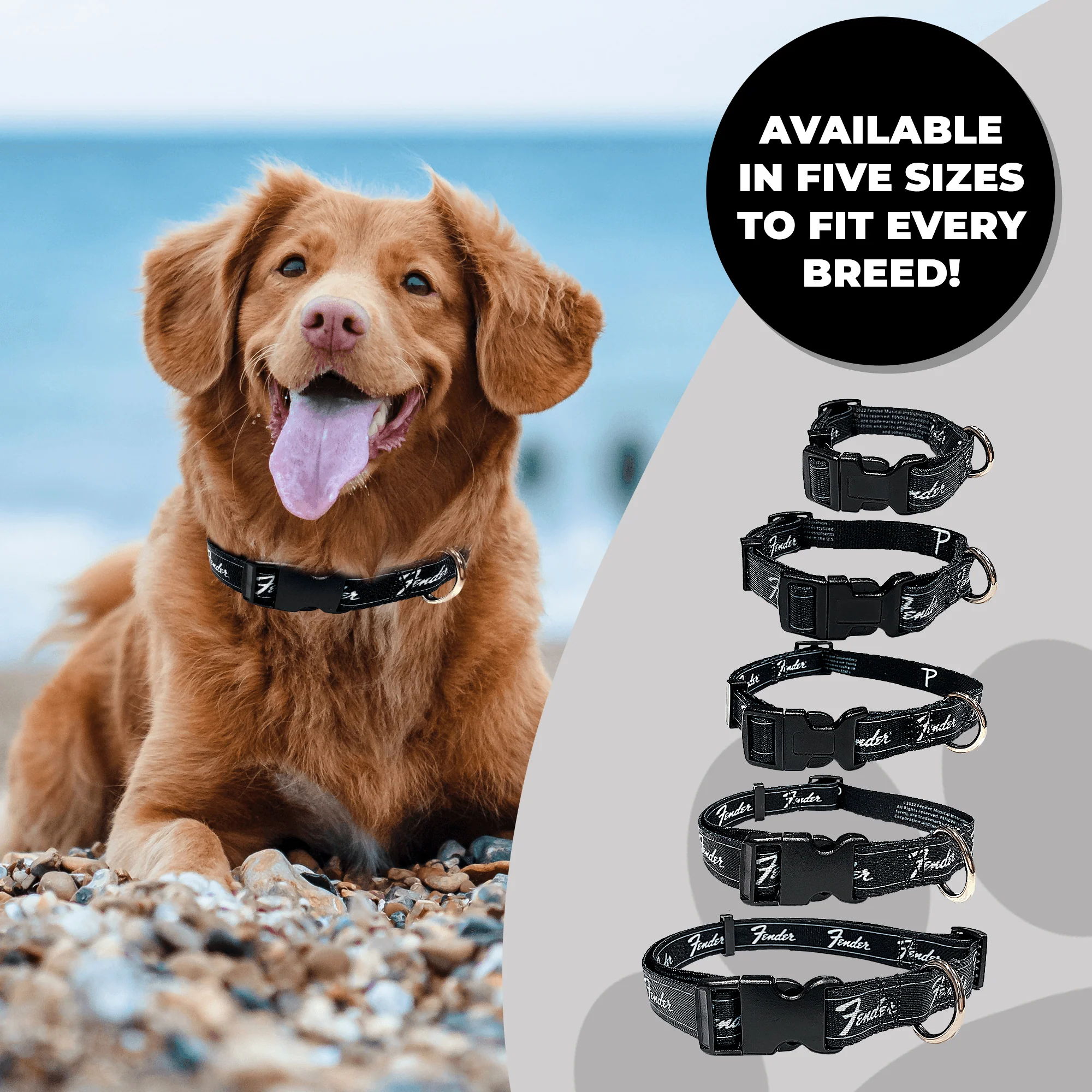 Fender® Running Logo Dog Collar - Image 7