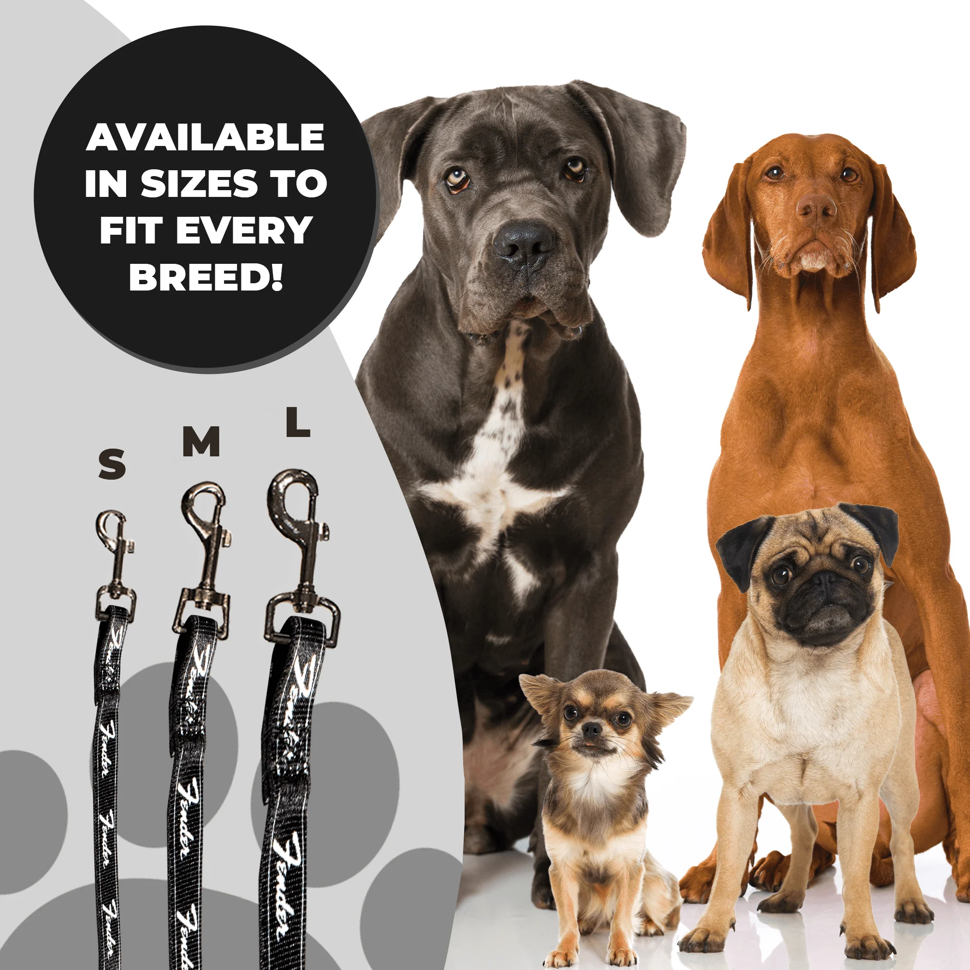 Fender® Running Logo Dog Leash - Image 6