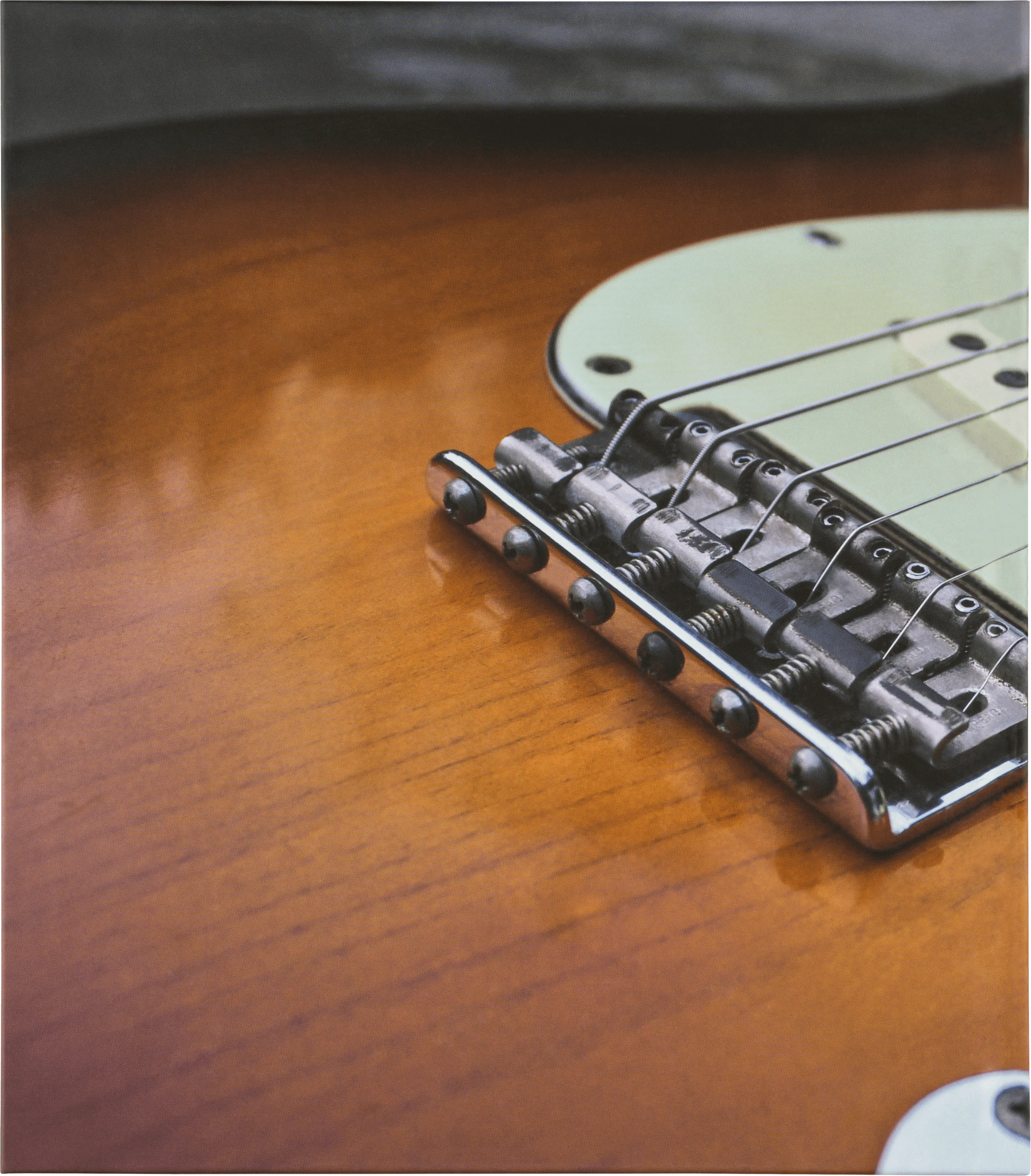 Fender Stratocaster® 70th Anniversary Book - Image 7