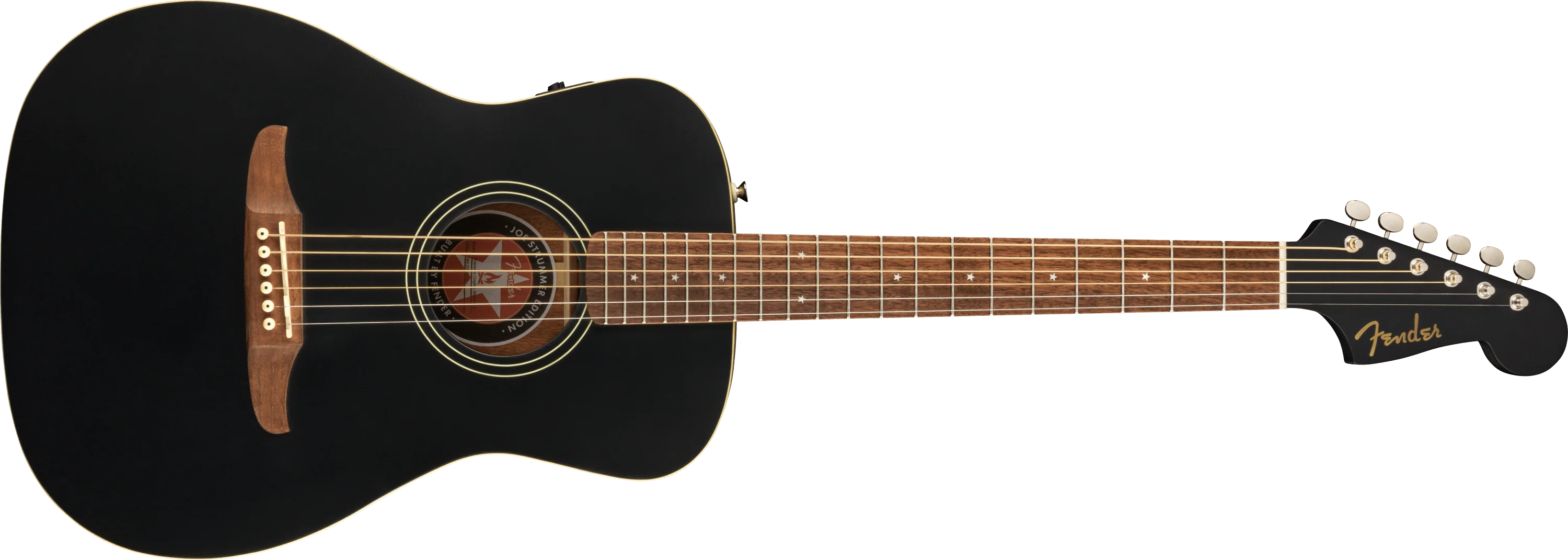 Joe Strummer Campfire Acoustic