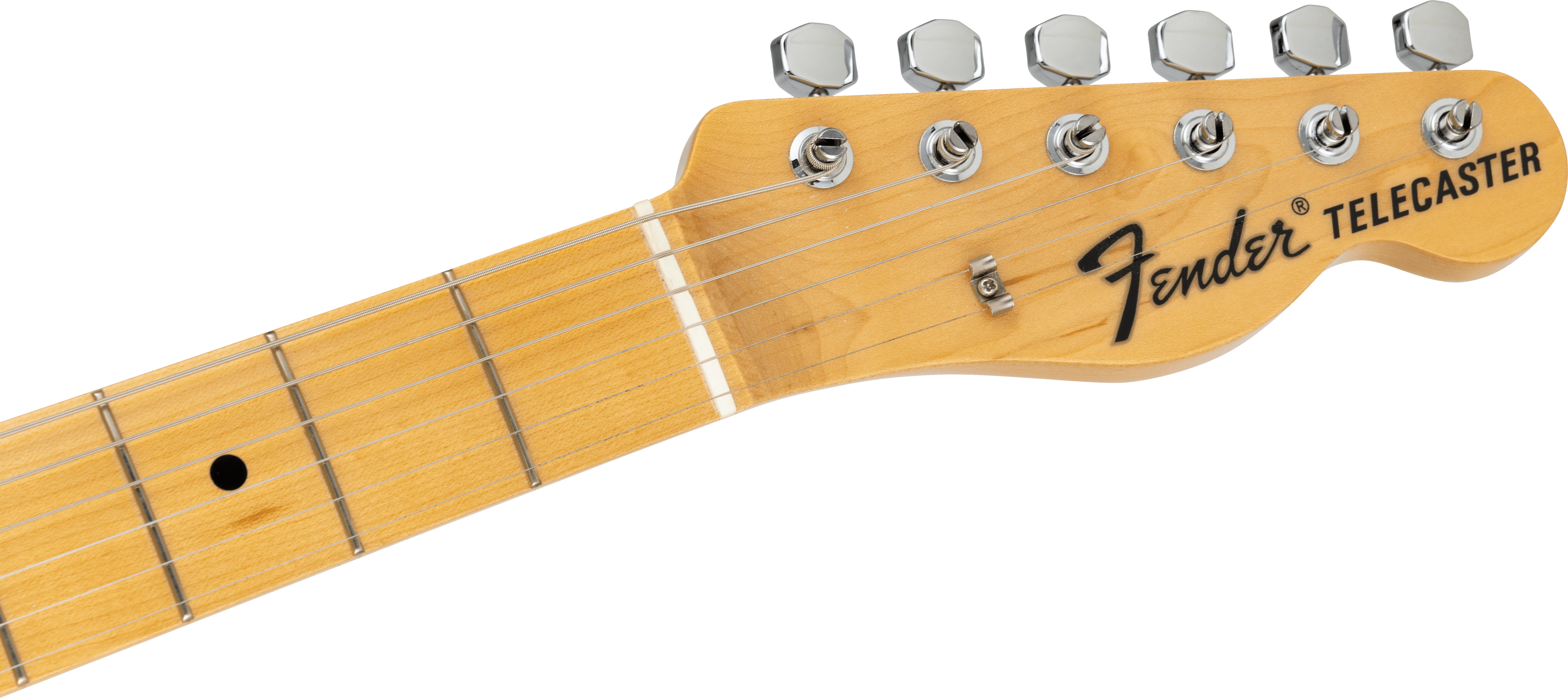 Made in Japan Limited Telecaster® Indigo Paisley - Image 5