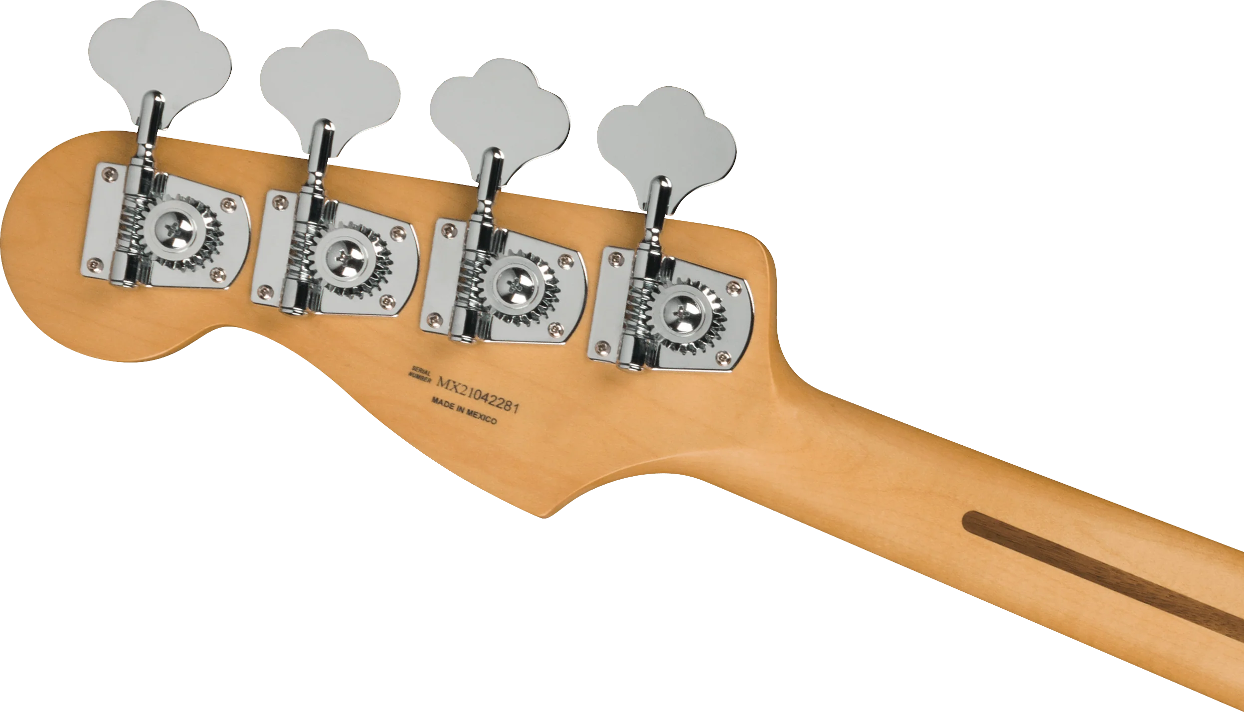 Player Plus Active Meteora® Bass - Image 10